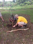 Joshua & Seth Planting Banana Tree