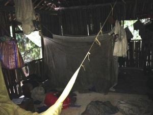 Typical Inside-Mosquito Nets