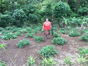 Working in the Garden