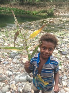 Local seeds used for beads found along the river