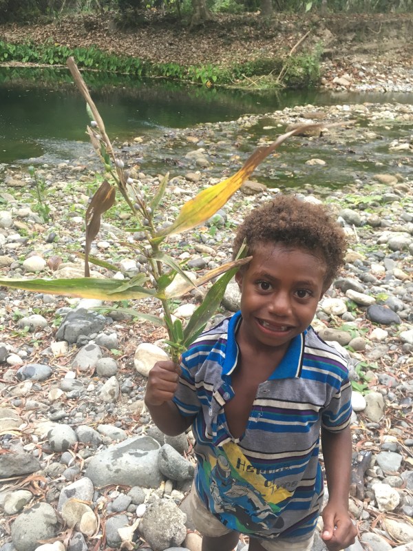Local seeds used for beads found along the river