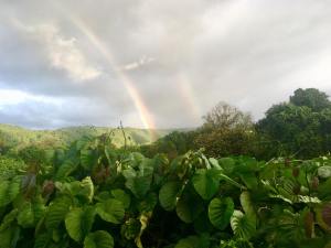 Rainbows in the sky... remind us of Gods promises!