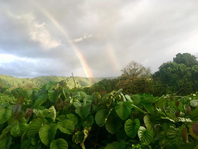 Rainbows in the sky... remind us of Gods promises!